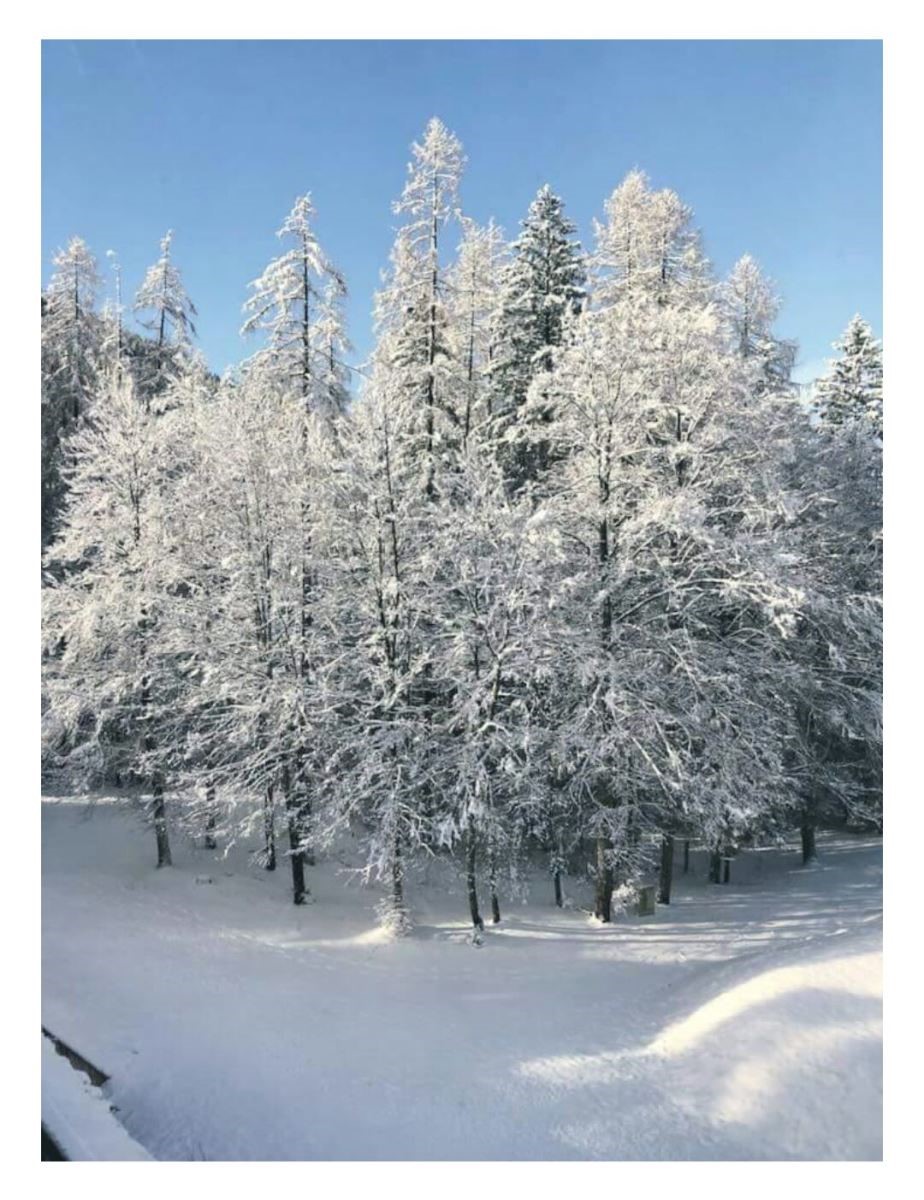 Zimske kajakaške pripreme 